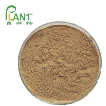 Factory supply pure natural plant extracts extracts White kidney bean extract
